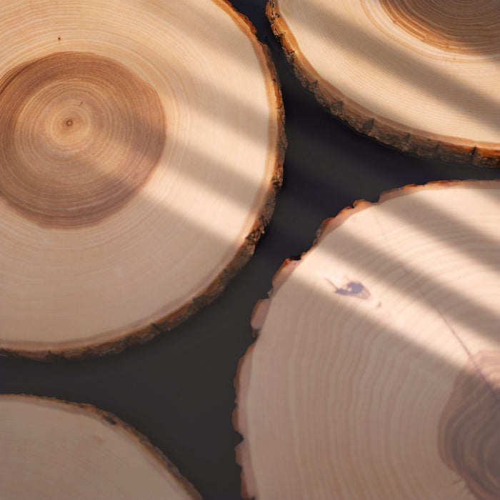 Original Genuine Wood Bark Snack Board - Dishwasher-Safe