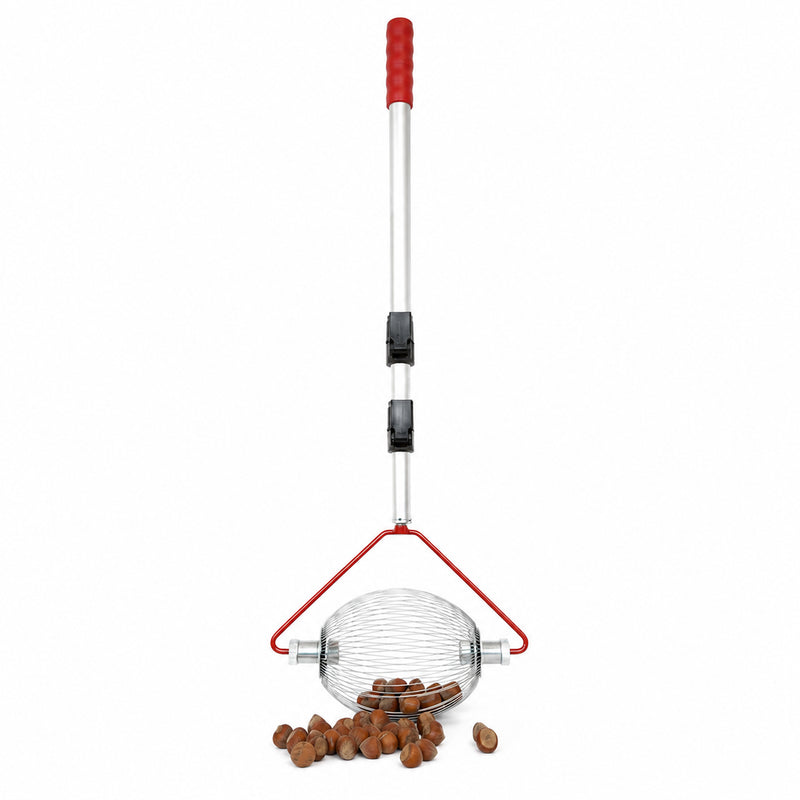 Rollblitz Nut Collector - Walnut or Hazelnut Version, Made in Germany
