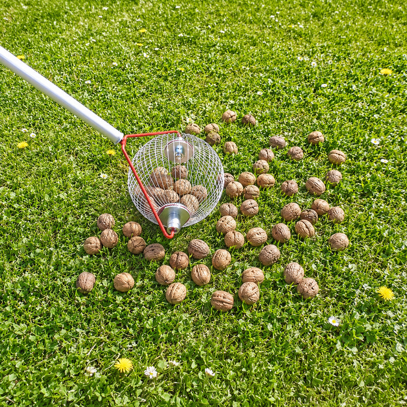 Rollblitz Nut Collector - Walnut or Hazelnut Version, Made in Germany