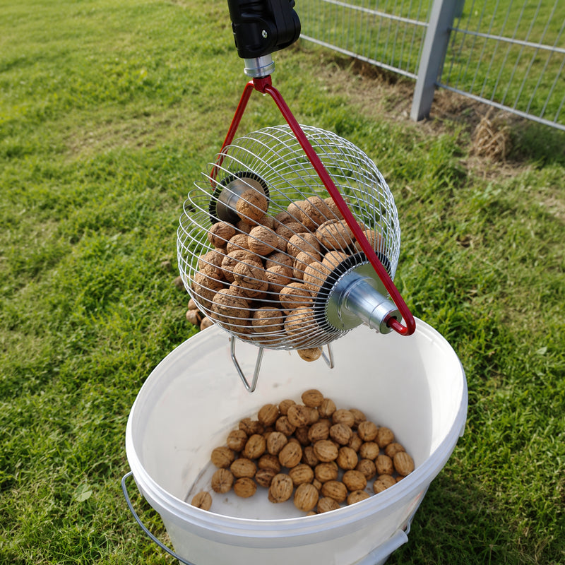 Rollblitz Nut Collector - Walnut or Hazelnut Version, Made in Germany