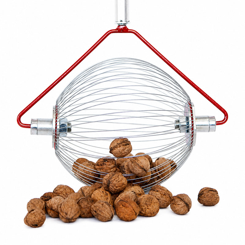 Rollblitz Nut Collector - Walnut or Hazelnut Version, Made in Germany