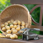 Westmark French Fries Cutter "PomfriPerfect" - #1181