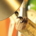 Westmark Bell Corkscrew "Barolo" Monopol Edition, satin-finished - #6260 3380
